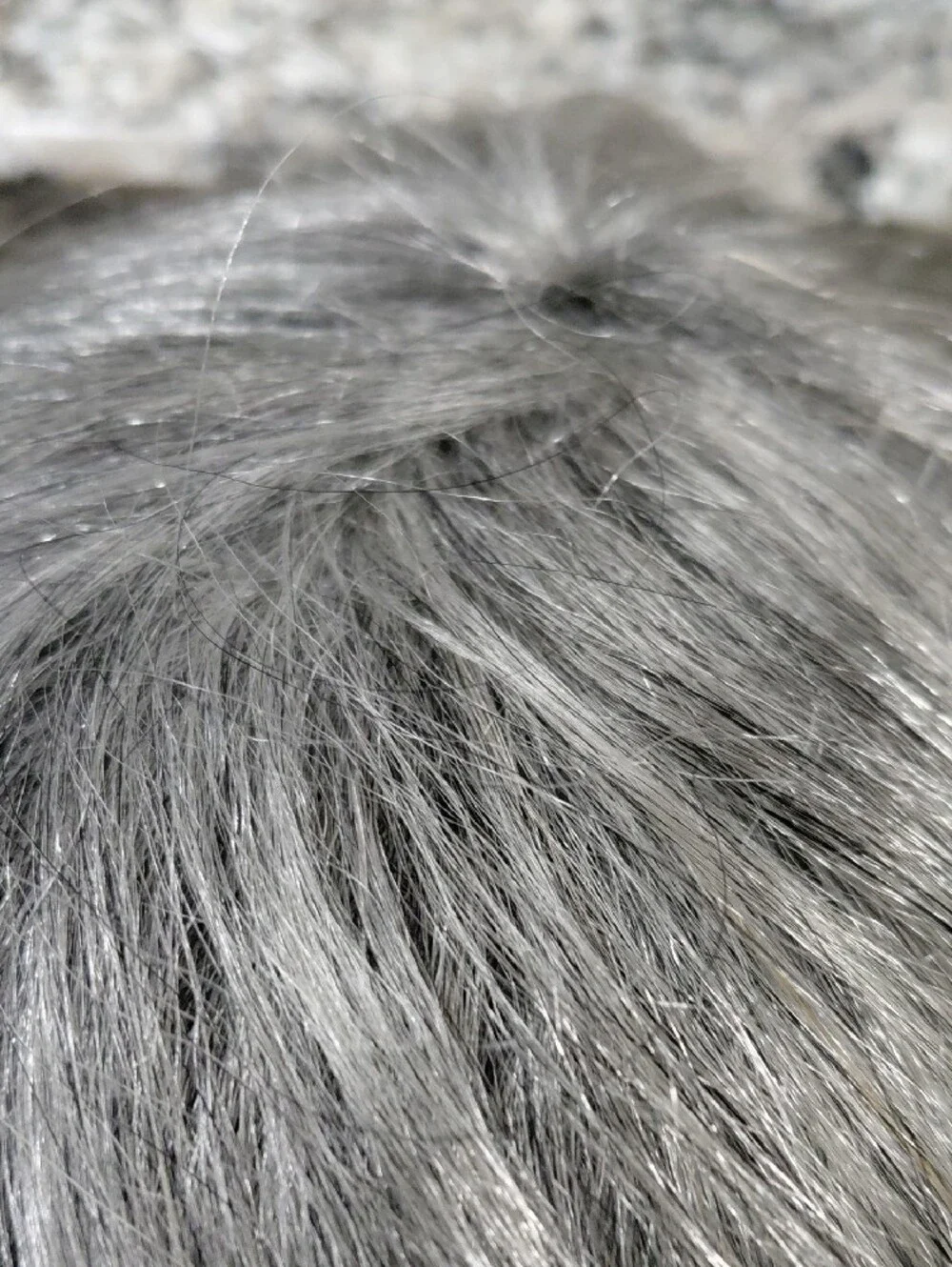 Short Silver Gray Pixie Synthetic Wig for Women - Sleek Modern Cut
